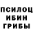 Псилоцибиновые грибы мицелий lana_all_coll