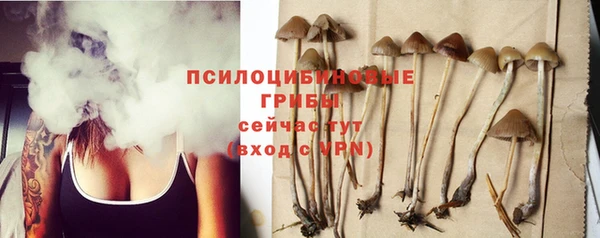 мет Абаза