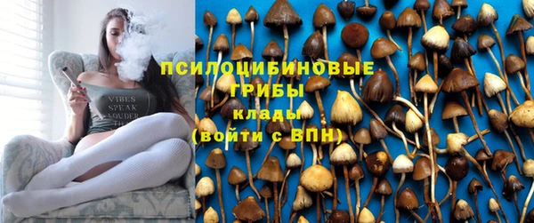 мяу мяу мука Михайлов